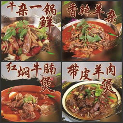 東莞伊食康清真食品公司 為河南優(yōu)質牛羊肉代言