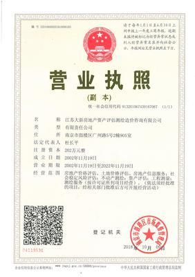 江蘇大新資產 專業評估，賦能資產價值精確認知